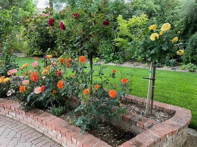 $2,850,000 | 38201 Russell Boulevard, Davis, CA 95616