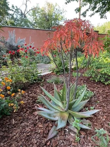 $2,850,000 | 38201 Russell Boulevard, Davis, CA 95616