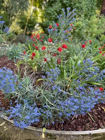 $2,850,000 | 38201 Russell Boulevard, Davis, CA 95616