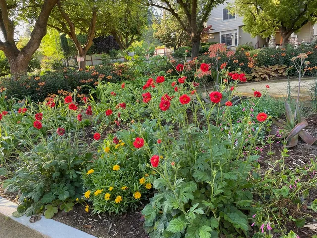 $2,850,000 | 38201 Russell Boulevard, Davis, CA 95616