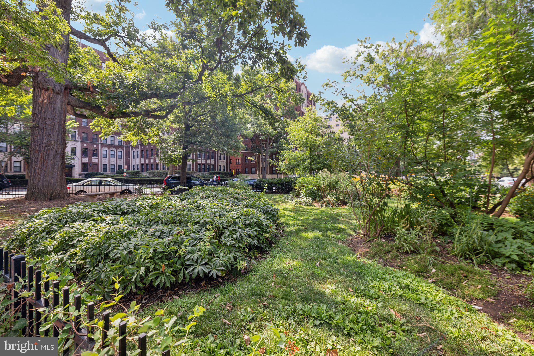 1621 T Street Northwest, Unit 307 Washington, DC 20009 - Photo 11 of 15 a view of a garden with plants