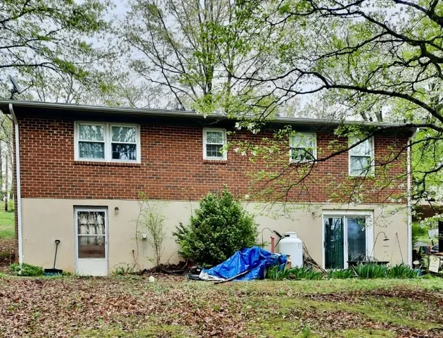 a backyard of a house with a tree and plants