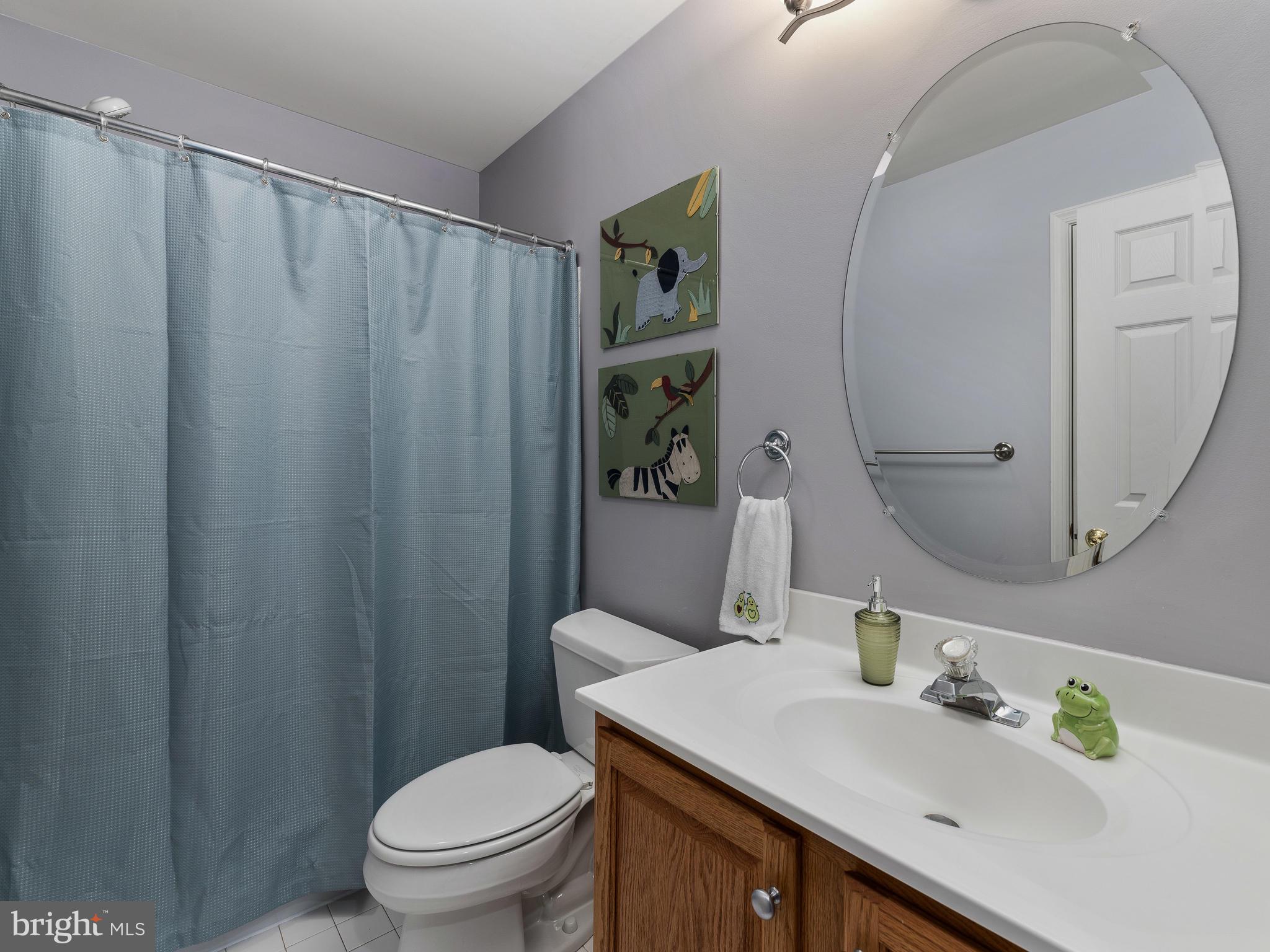 1005 Longbow Road Mount Airy, MD 21771 - Photo 28 of 43 Hall bath