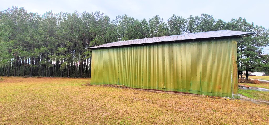 Lot 1 Helms Road Dothan, AL 36301 - Photo 8 of 12