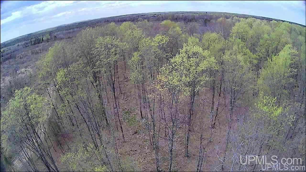Tbd Tbd Truax Road, Unit 1 Cornell, MI 49818 - Photo 2 of 43