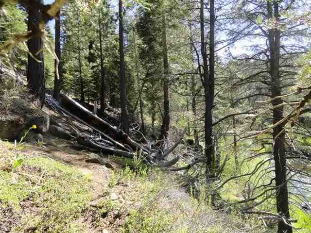 8040 River Road Truckee, CA 96161 - Photo 12 of 14 Gallery Image 12