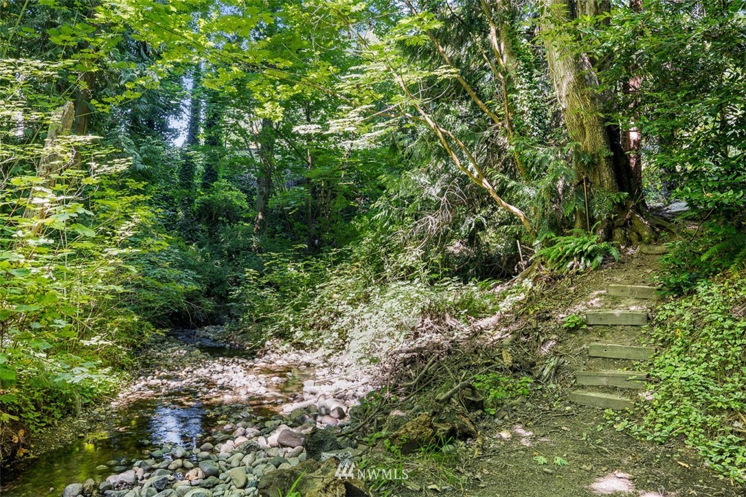 507 South 38th Court Renton, WA 98055 - Photo 29 of 40 a view of a lush green forest