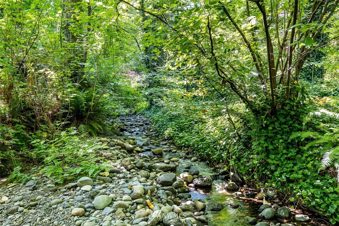 507 South 38th Court Renton, WA 98055 - Photo 33 of 40 a view of a lush green forest