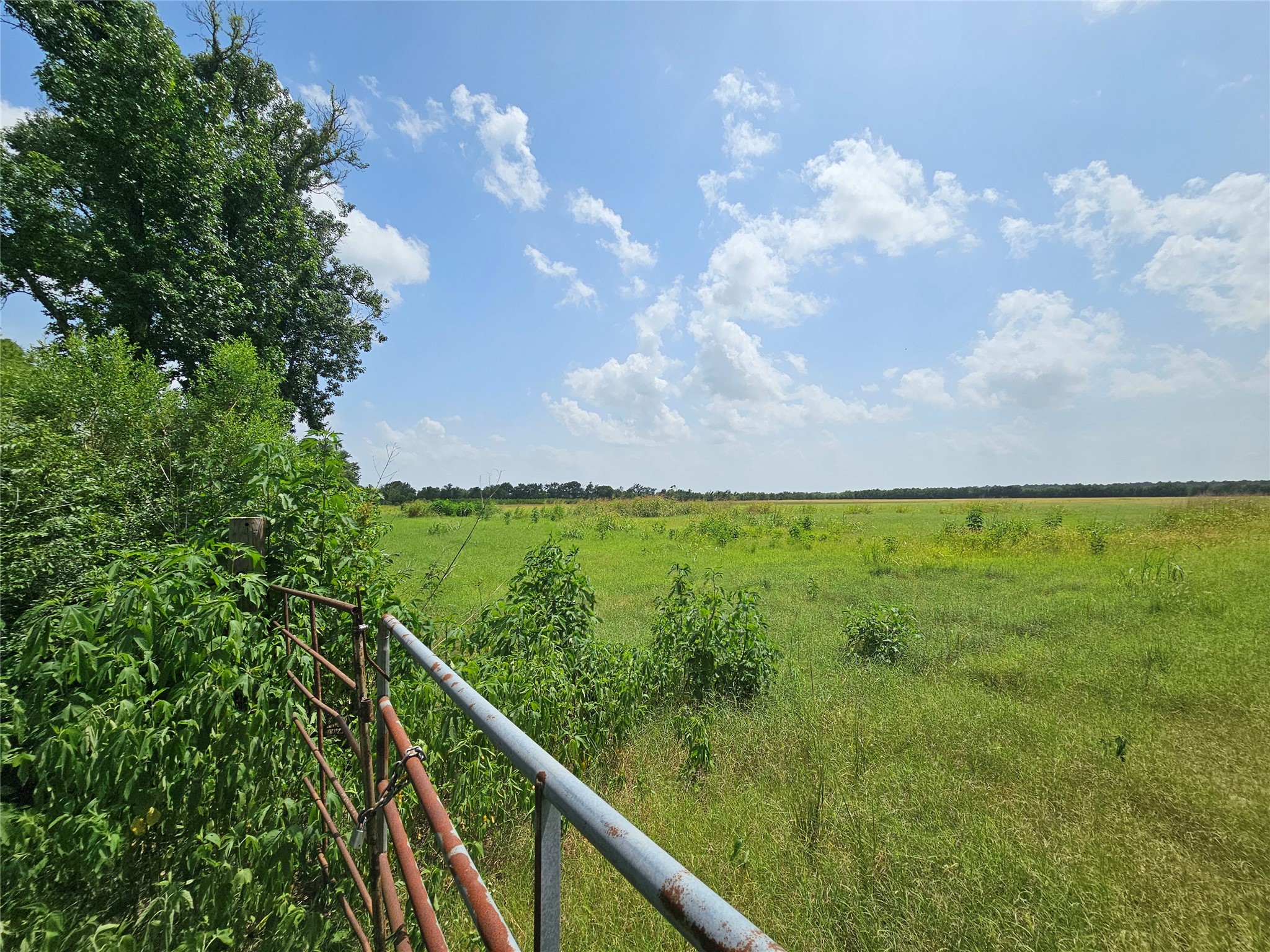 North Lot Peters Road Crosby, TX 77532 - Photo 6 of 6 Driveway looking south