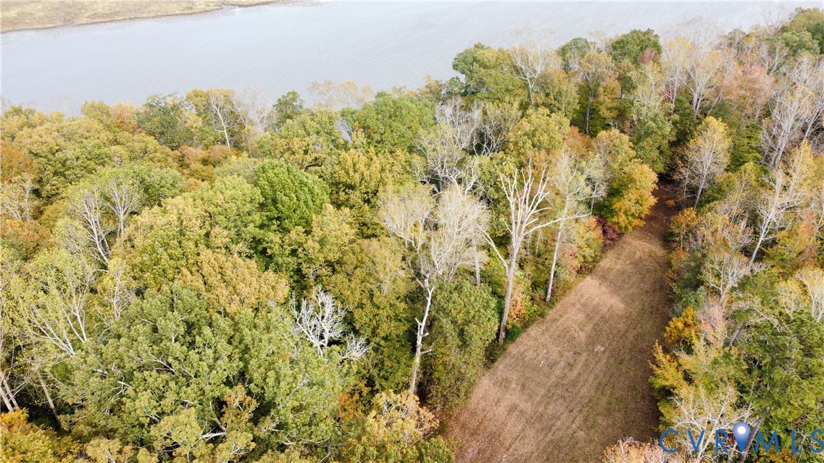 Bird's eye view of a forest and a nearby body of w