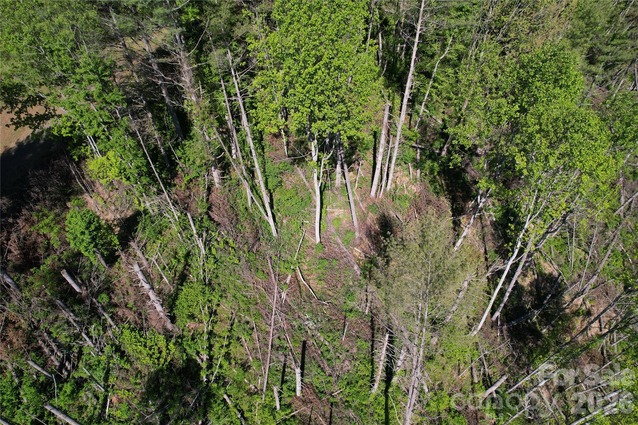 0 River Rock Road Warrensville, NC 28693 - Photo 8 of 15