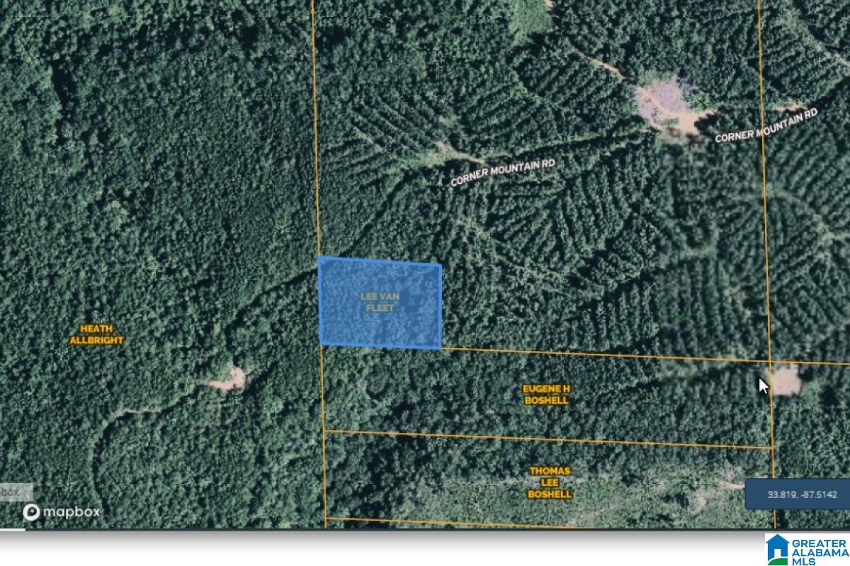 Corner Mountain Road Carbon Hill, AL 35549 - Photo 7 of 8