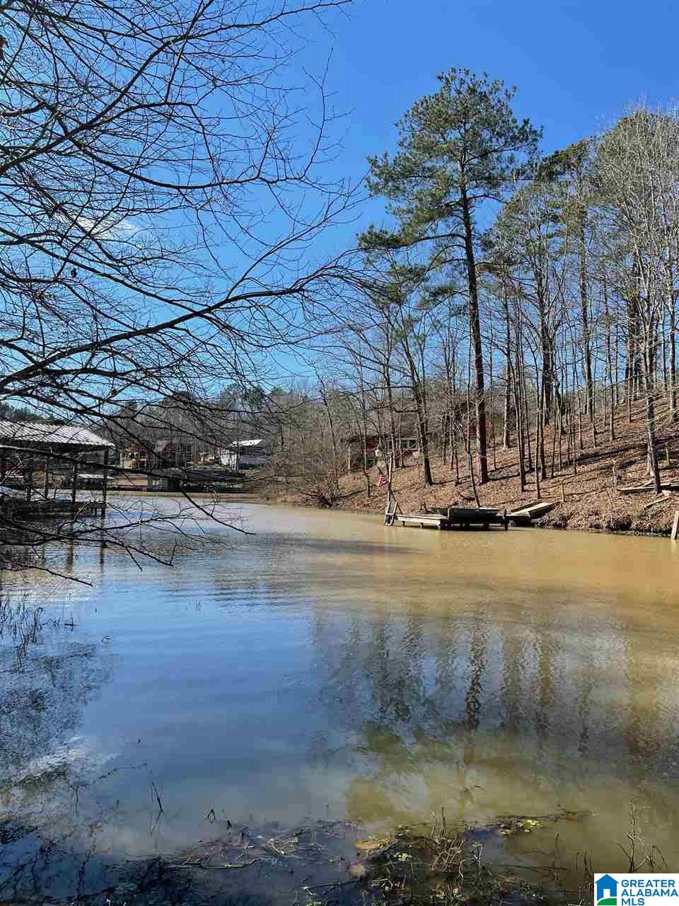 391 Amanda Lane Shelby, AL 35143 - Photo 1 of 9