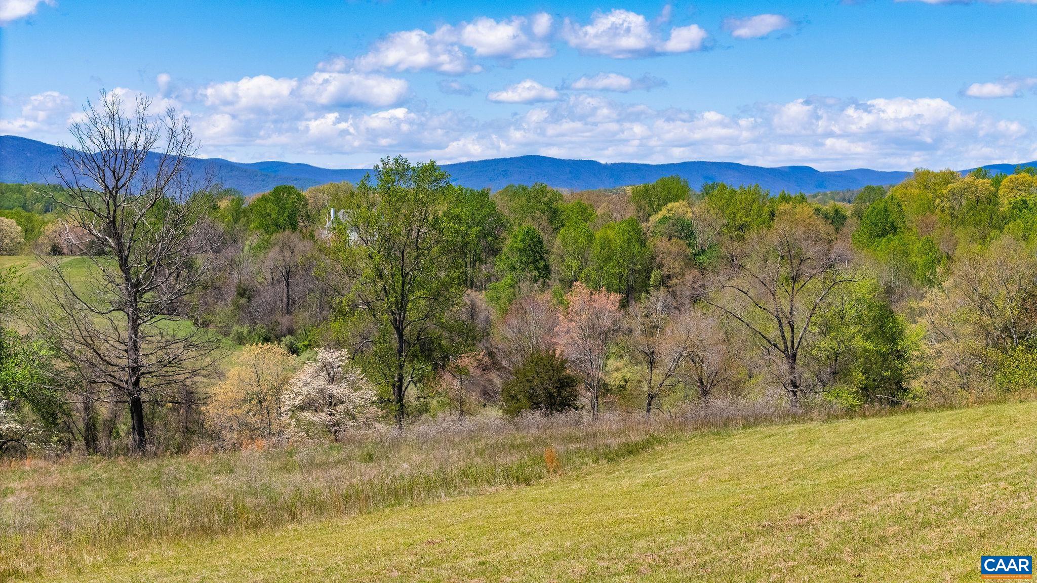 21-acres Tbb Bloomfield Road Charlottesville, VA 22903 - Photo 6 of 12