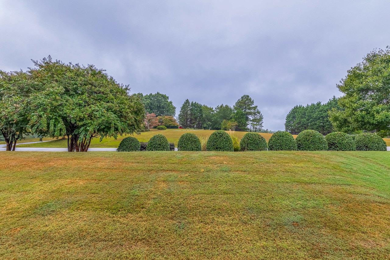 124 Cherrybark Lane Taylors, SC 29687 - Photo 30 of 33