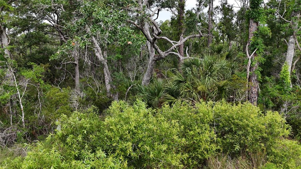 10-11 Adams Beach Road Perry, FL 32348 - Photo 5 of 38