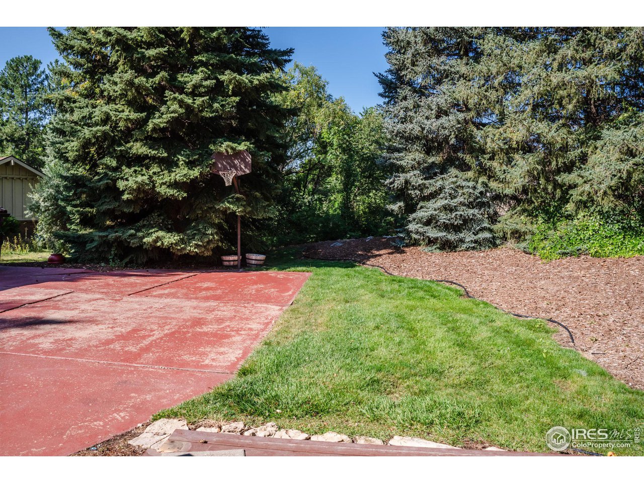 7125 Four Rivers Road Boulder, CO 80301 - Photo 39 of 40 a backyard of a house with lots of green space