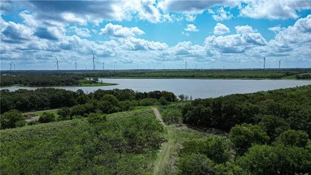 a view of a backyard with large trees