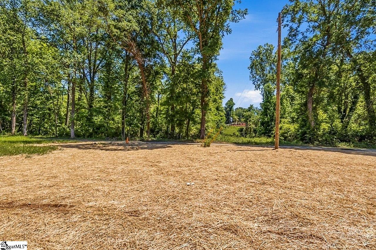259-261 Vanderbilt Road Spartanburg, SC 29301 - Photo 44 of 44