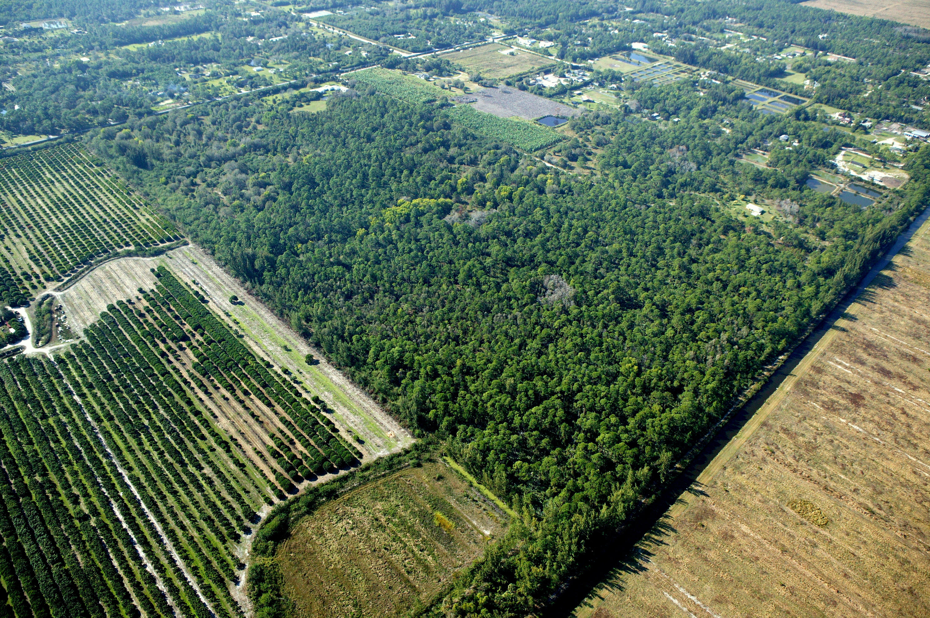 0 N Road Loxahatchee, FL 33470 - Photo 3 of 14 a view of a garden