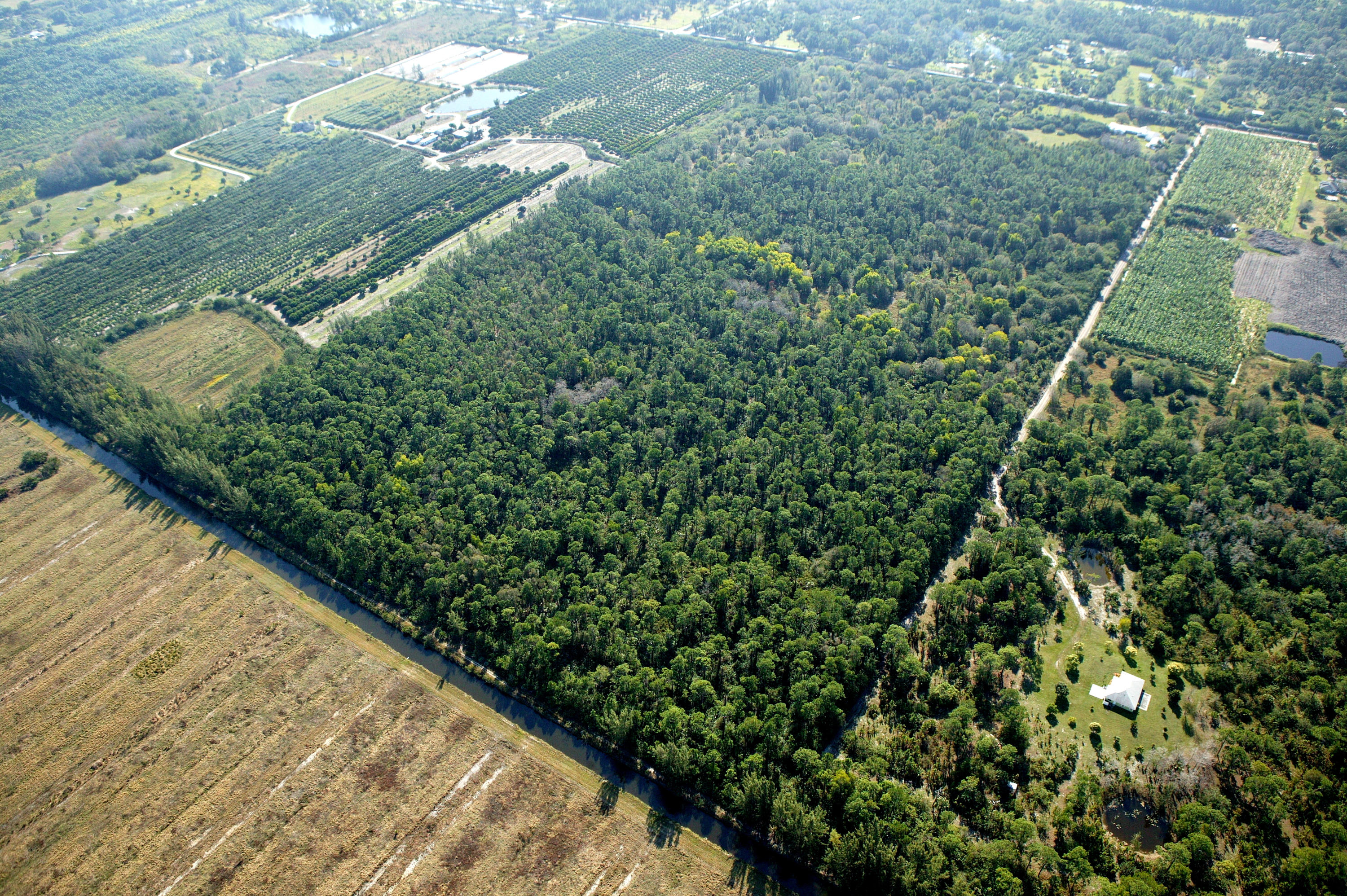 0 N Road Loxahatchee, FL 33470 - Photo 4 of 14 a view of a garden