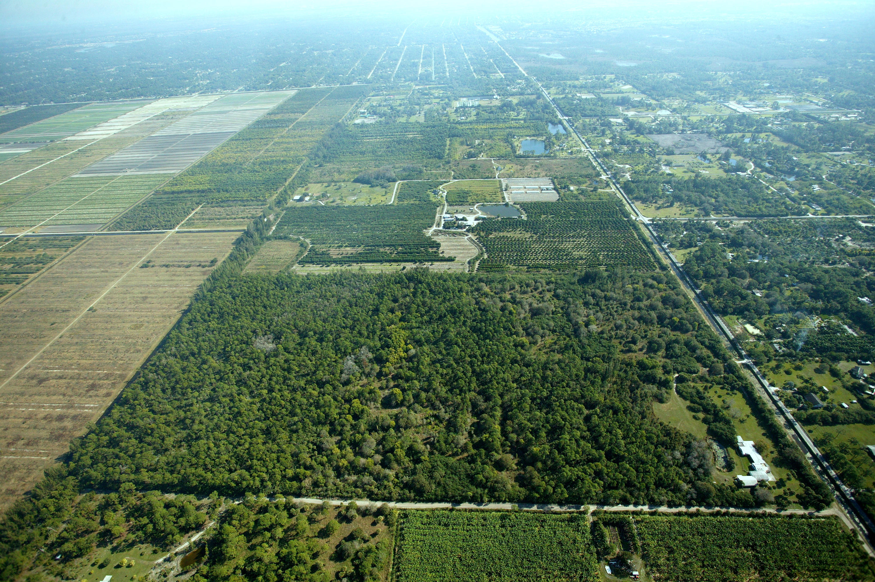 0 N Road Loxahatchee, FL 33470 - Photo 8 of 14 a view of a green field with lots of bushes