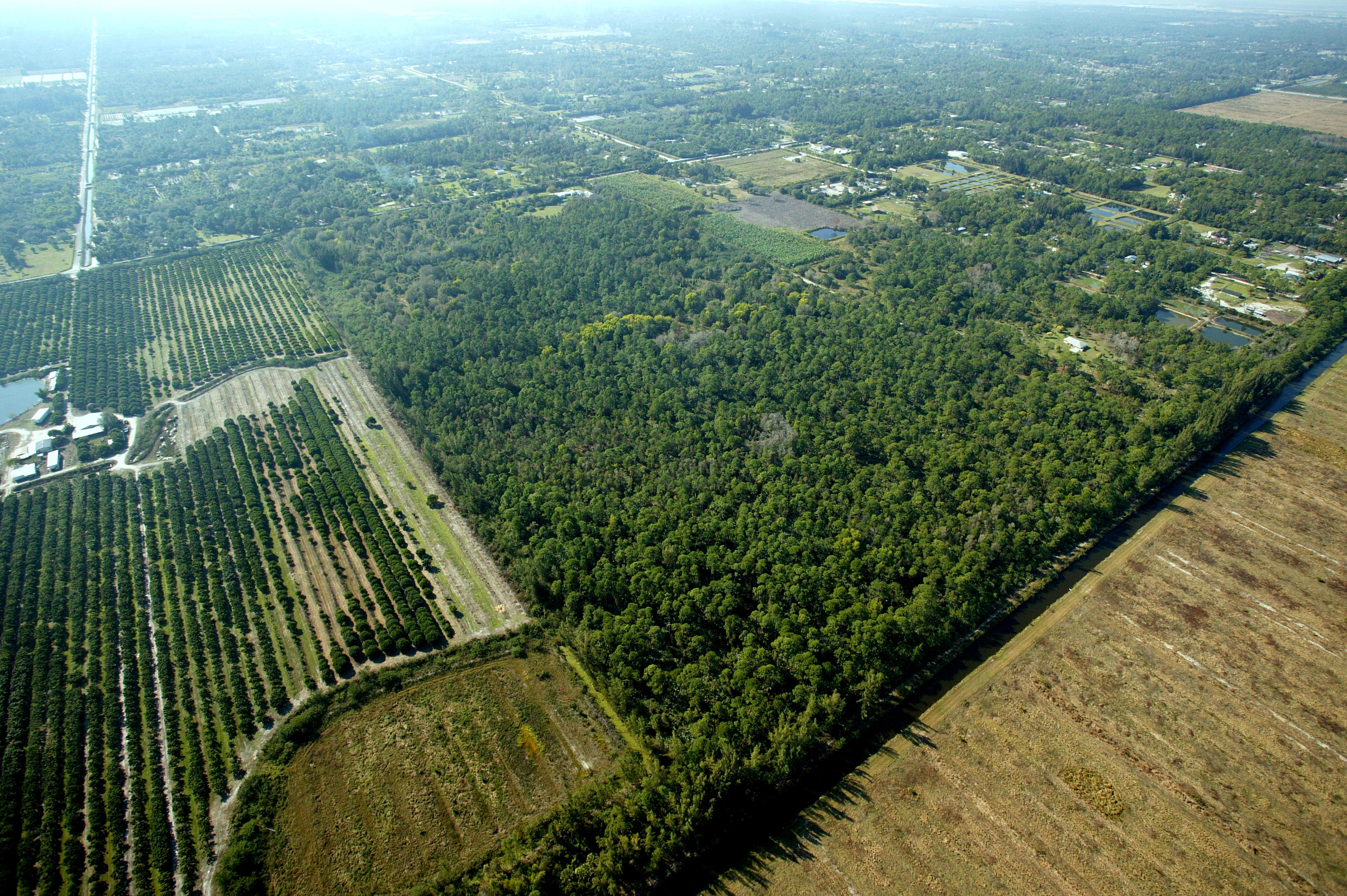 0 N Road Loxahatchee, FL 33470 - Photo 10 of 14 a view of a garden
