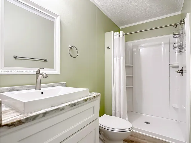 a view of a tree in the middle of a yard