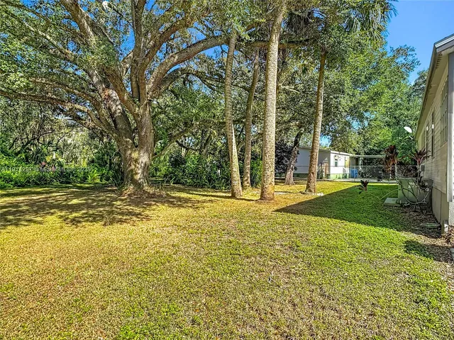 a view of a tree in the middle of a yard