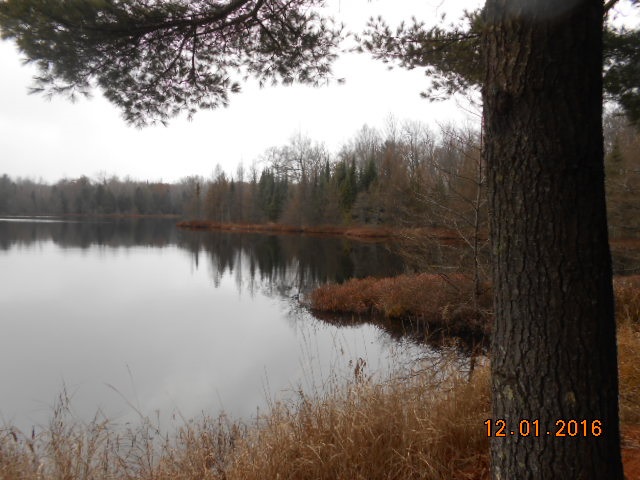 Off County Rd J Deerbrook, WI 54424 - Photo 1 of 1