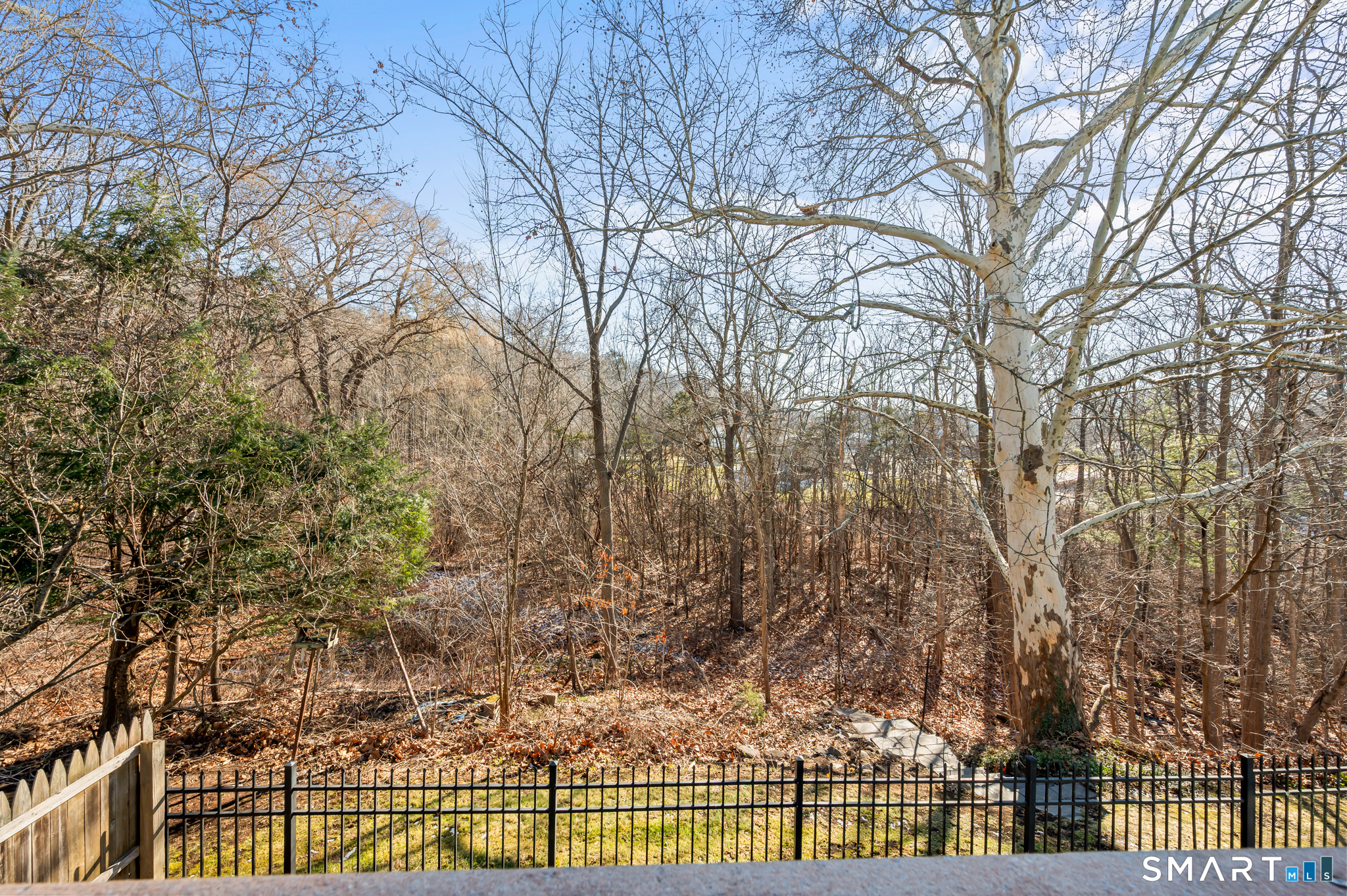 90 Pinnacle Road Plainville, CT 06062 - Photo 32 of 38 a view of a yard with iron fence