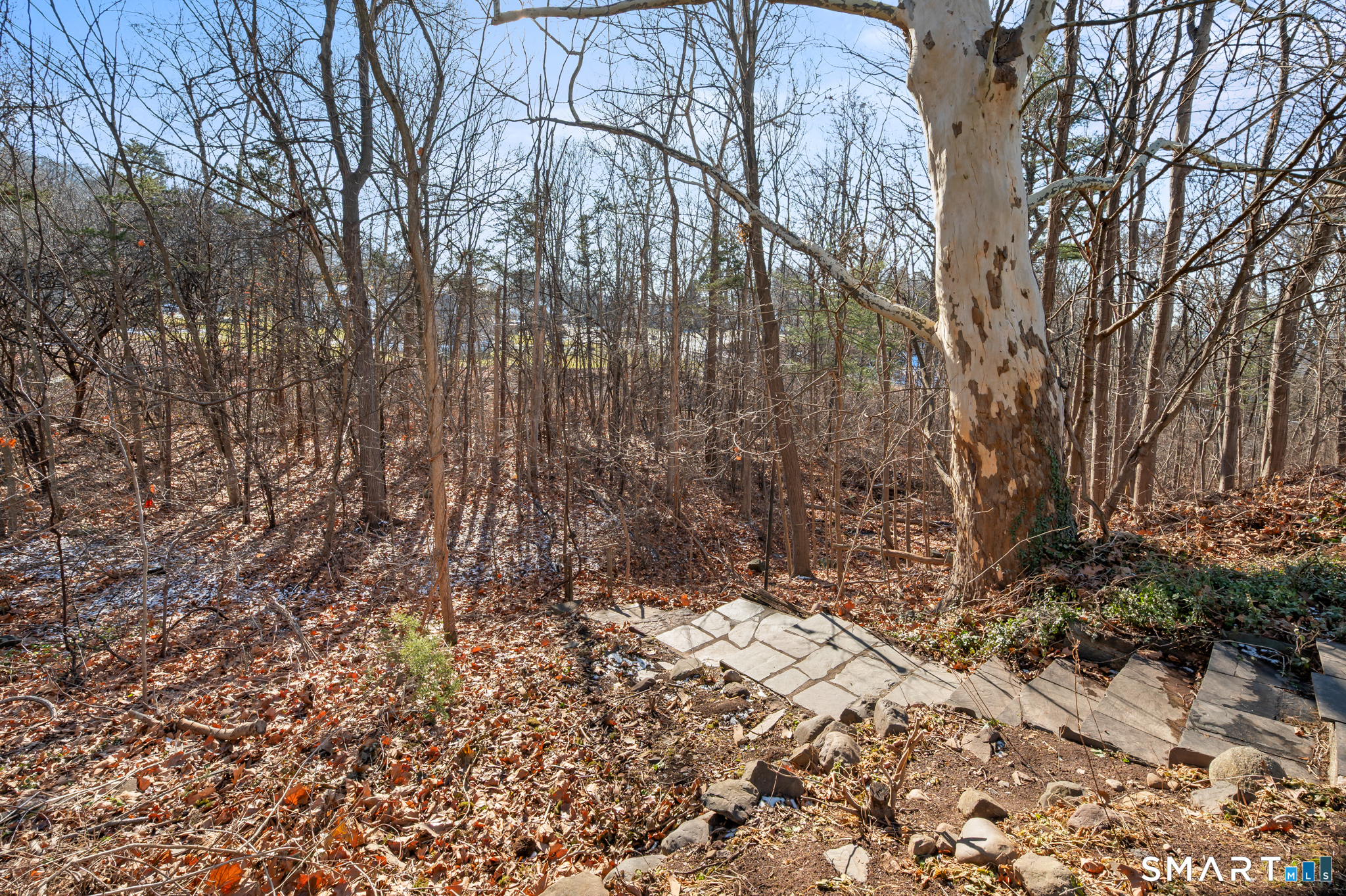 90 Pinnacle Road Plainville, CT 06062 - Photo 36 of 38 a view of backyard with tree