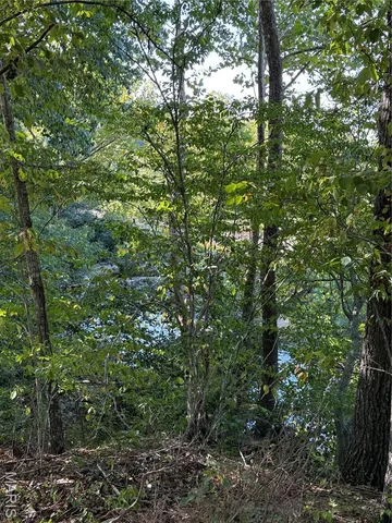 $450,000 | 20924 Highway 49, Black, MO 63625