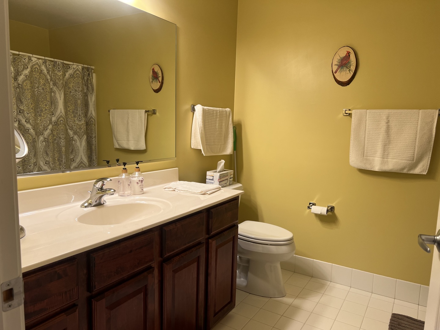 9355 Irving Park Road, Unit 522 Schiller Park, IL 60176 - Photo 16 of 24 a bathroom with a sink and a mirror