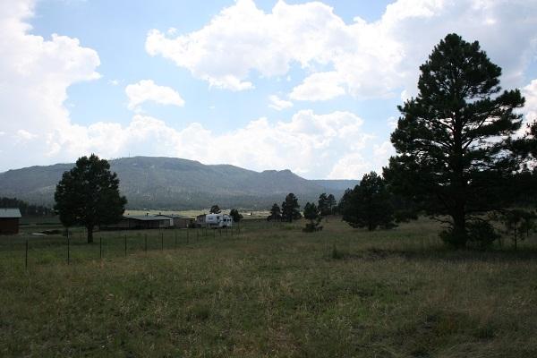 Lz L Z Ranch Road Alpine, AZ 85920 - Photo 12 of 13