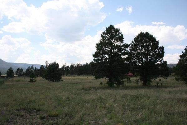 Lz L Z Ranch Road Alpine, AZ 85920 - Photo 13 of 13