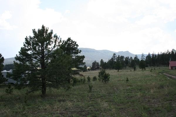 Lz L Z Ranch Road Alpine, AZ 85920 - Photo 2 of 13