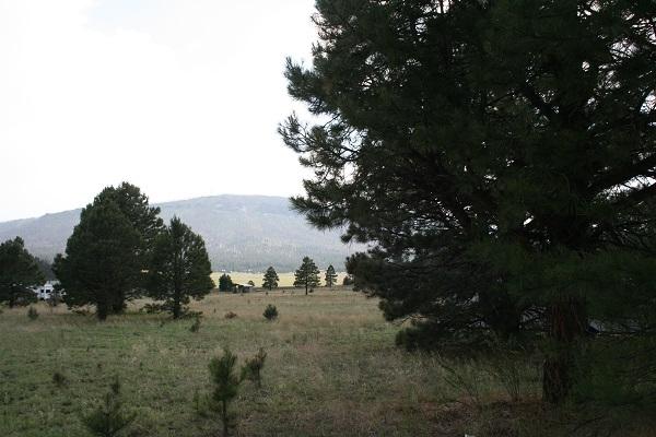 Lz L Z Ranch Road Alpine, AZ 85920 - Photo 3 of 13