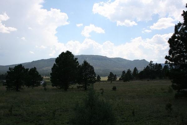 Lz L Z Ranch Road Alpine, AZ 85920 - Photo 7 of 13