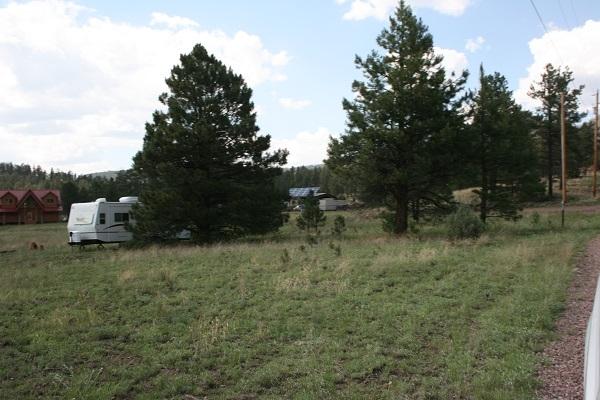 Lz L Z Ranch Road Alpine, AZ 85920 - Photo 9 of 13