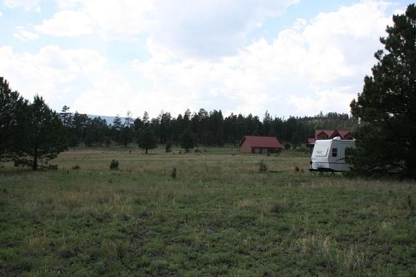 Lz L Z Ranch Road Alpine, AZ 85920 - Photo 10 of 13