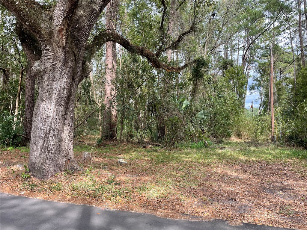 4th Avenue Callahan, FL 32011 - Photo 11 of 34 Gallery Image 11