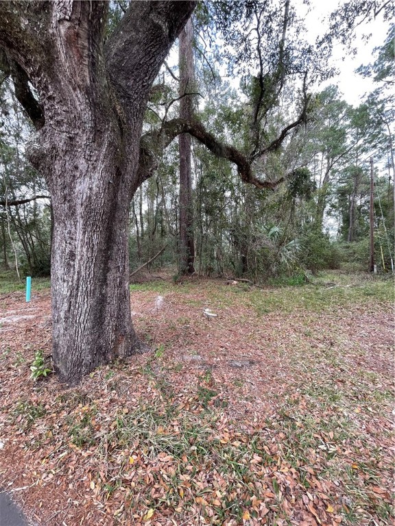 4th Avenue Callahan, FL 32011 - Photo 17 of 34 Gallery Image 17