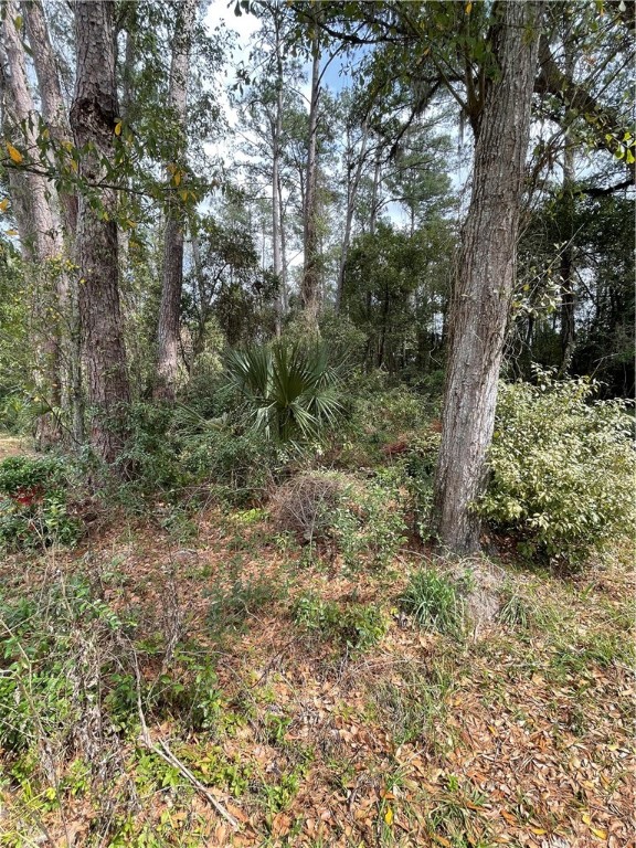 4th Avenue Callahan, FL 32011 - Photo 18 of 34 Gallery Image 18
