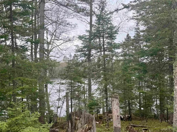 $69,900 | Tbd North Horseshoe Lake Road, Republic, MI 49879