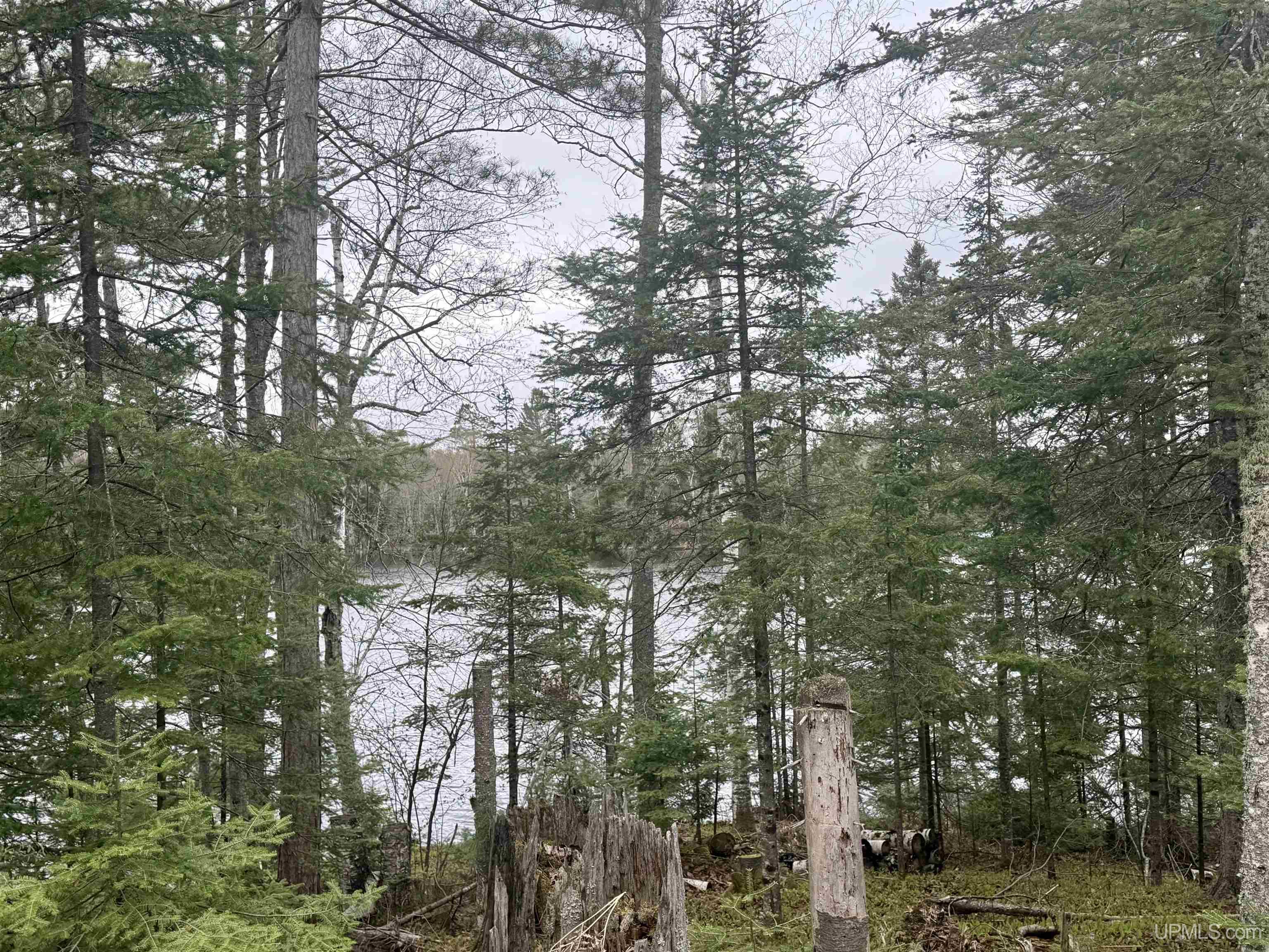 Tbd North Horseshoe Lake Road Republic, MI 49879 - Photo 1 of 12