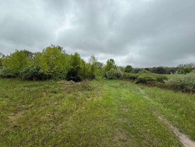 Tbd Prospect St. Louis, MI 48880 - Photo 20 of 23