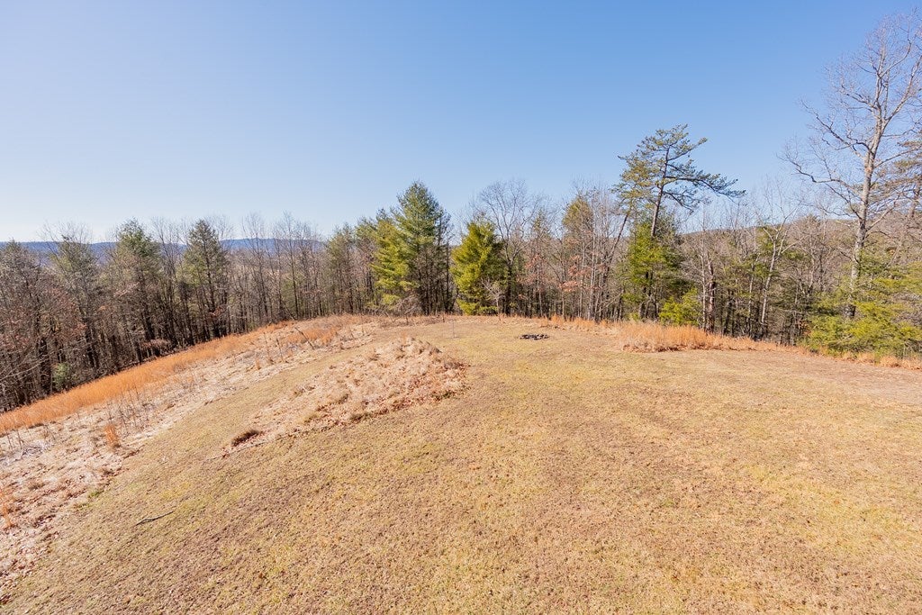 485 Grouse Ridge Road Max Meadows, VA 24360 - Photo 41 of 76 Gallery Image 41