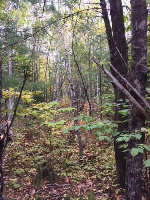 Lot 2 Quinns Flats Road Athens, ME 04912 - Photo 2 of 3 Photo