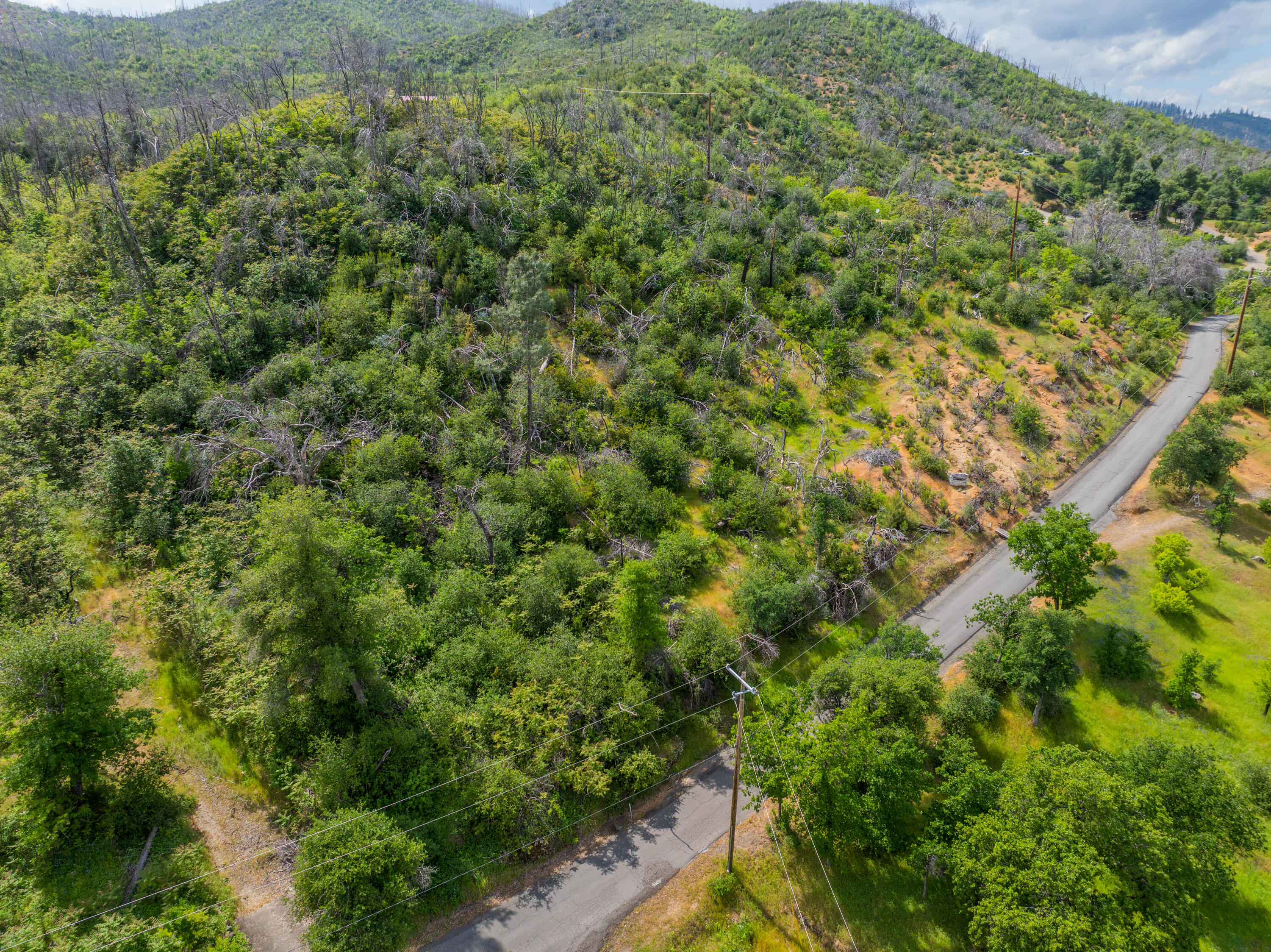 an aerial view of residential houses with outdoor space and trees